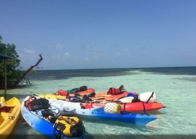 Plusieurs kayaks colorés chargés d'équipements sont échoués sur un rivage peu profond et cristallin. Les kayaks, jaunes, bleus et rouges, sont remplis de gilets de sauvetage, de pagaies, et de sacs étanches, indiquant une excursion ou une activité nautique. À l'arrière-plan, la mer s'étend calmement vers l'horizon sous un ciel dégagé et ensoleillé, avec une végétation de mangrove verdoyante sur la gauche et un abri avec un toit bleu.