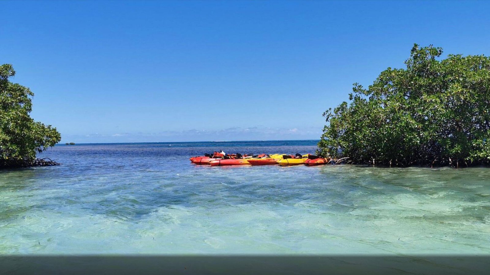 Des kayaks de couleur rouge et jaune sont amarrés près de la côte dans les eaux claires d'une plage en Guadeloupe. Les kayaks sont disposés en ligne le long d'un bosquet de mangrove, avec l'océan bleu et l'horizon clair en arrière-plan. L'atmosphère est calme et invitante, idéale pour des activités nautiques comme le kayak dans un environnement tropical.