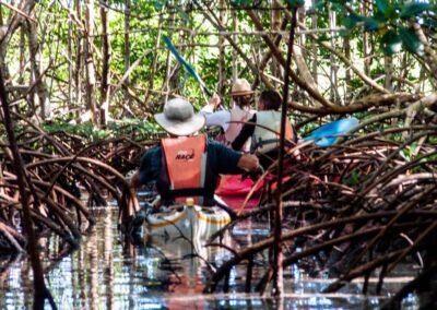 Deux aventuriers en chapeaux pagayent dans un kayak orange à travers un dédale dense de racines de mangrove. Vue de dos, la paire navigue à travers l'eau tranquille, encadrée par l'entrelacement complexe des racines et la végétation luxuriante du mangrove.